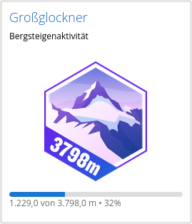 Garmin Challenge virtuelle Bergbesteigung Großglockner